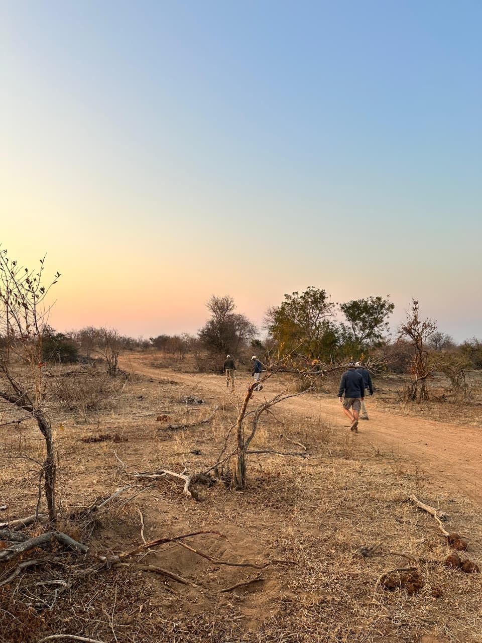 Nzumba Lodge guides walking the Klaserie bushveld at golden hour