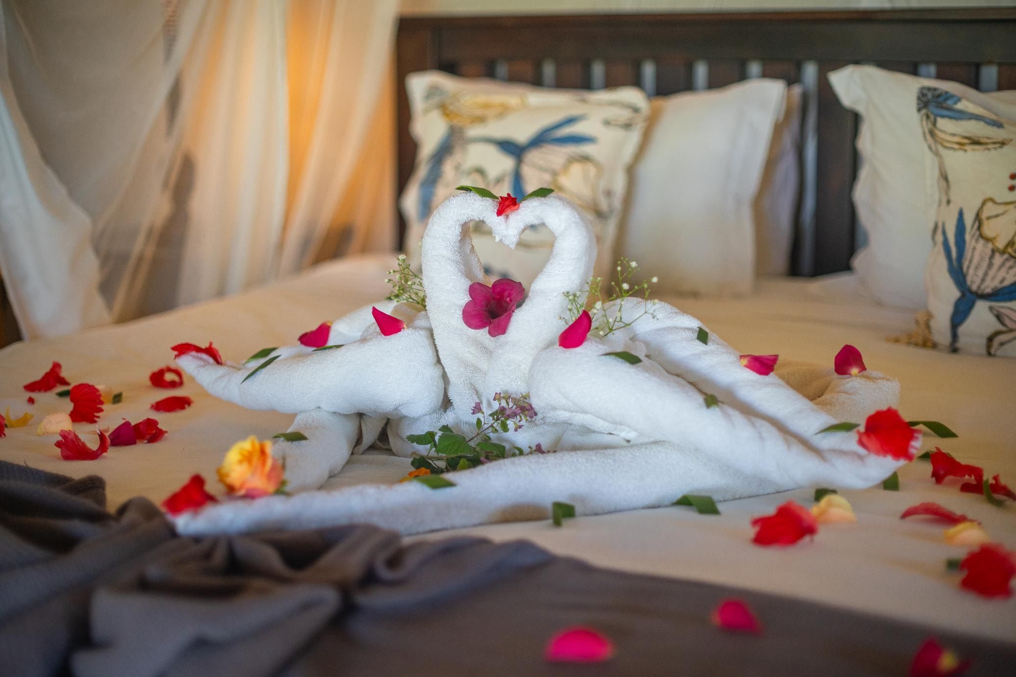 A Nzumba chalet turn-down — petals and folded linen