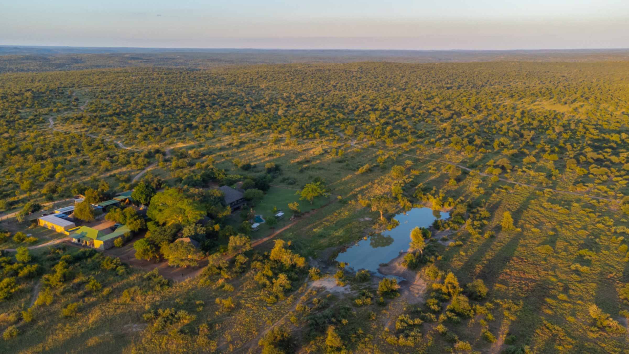 A lion at rest in the Klaserie bushveld — Nzumba Lodge wildlife frame