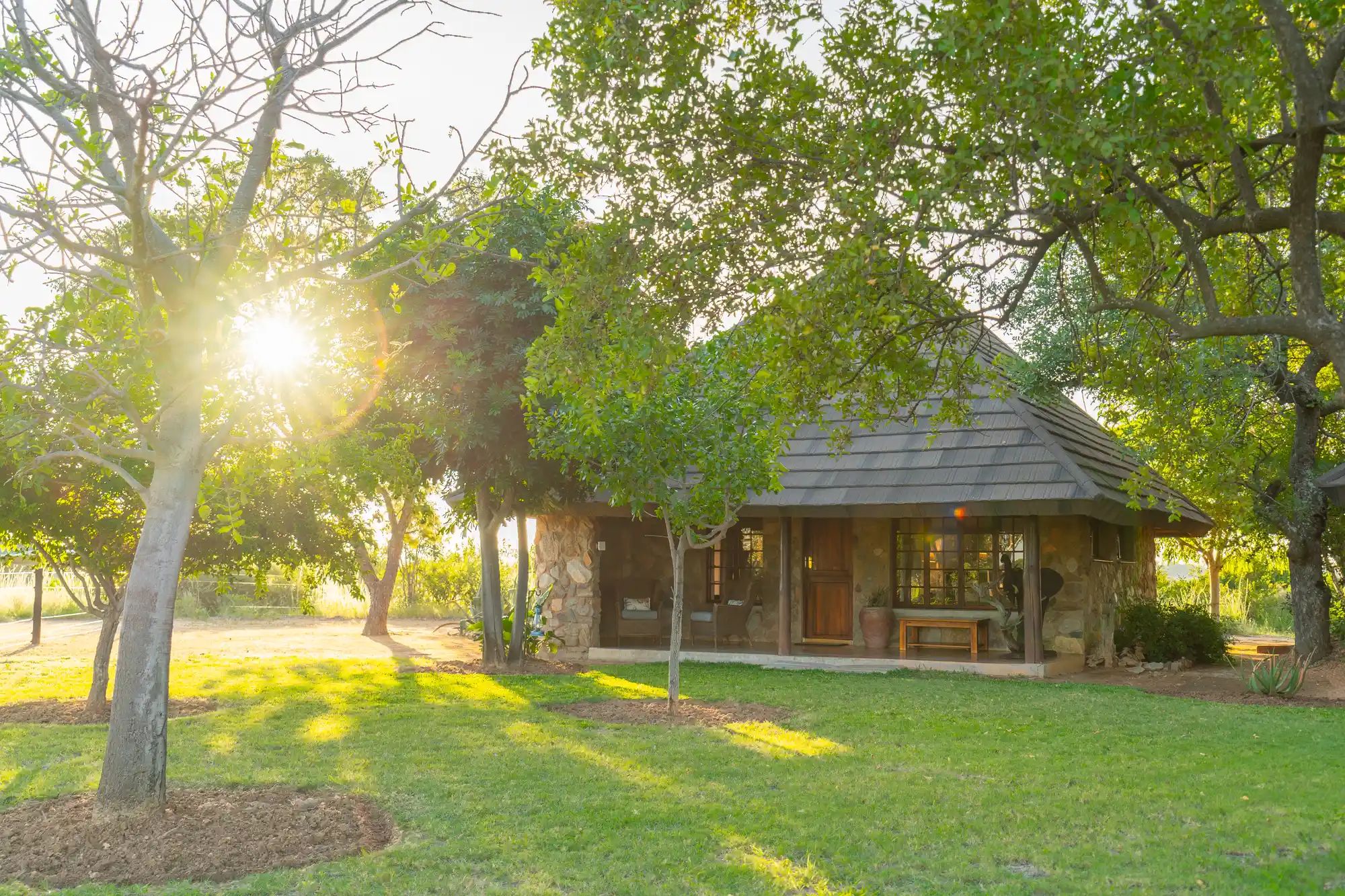 A thatched safari chalet at Nzumba Lodge in golden-hour light