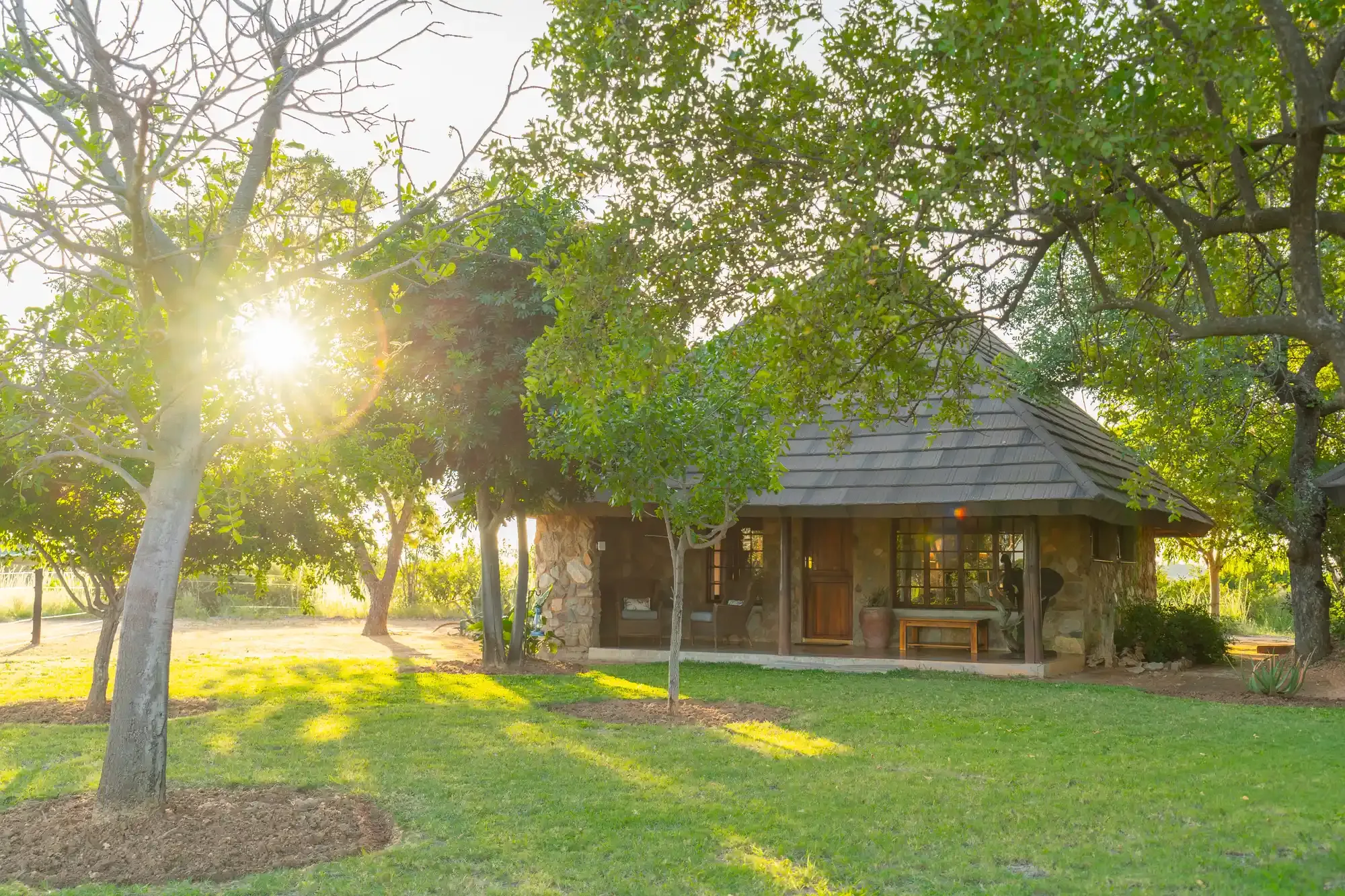 Exterior of a thatched safari chalet at sunset at Nzumba Lodge