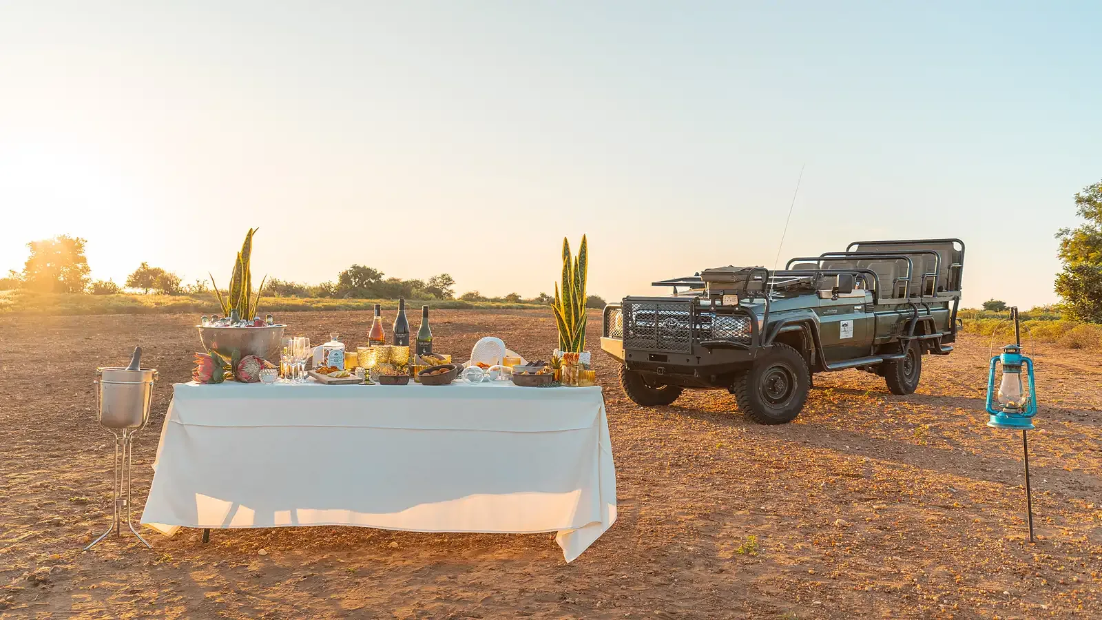 A Nzumba drinks-stop spread laid out on a Klaserie game drive