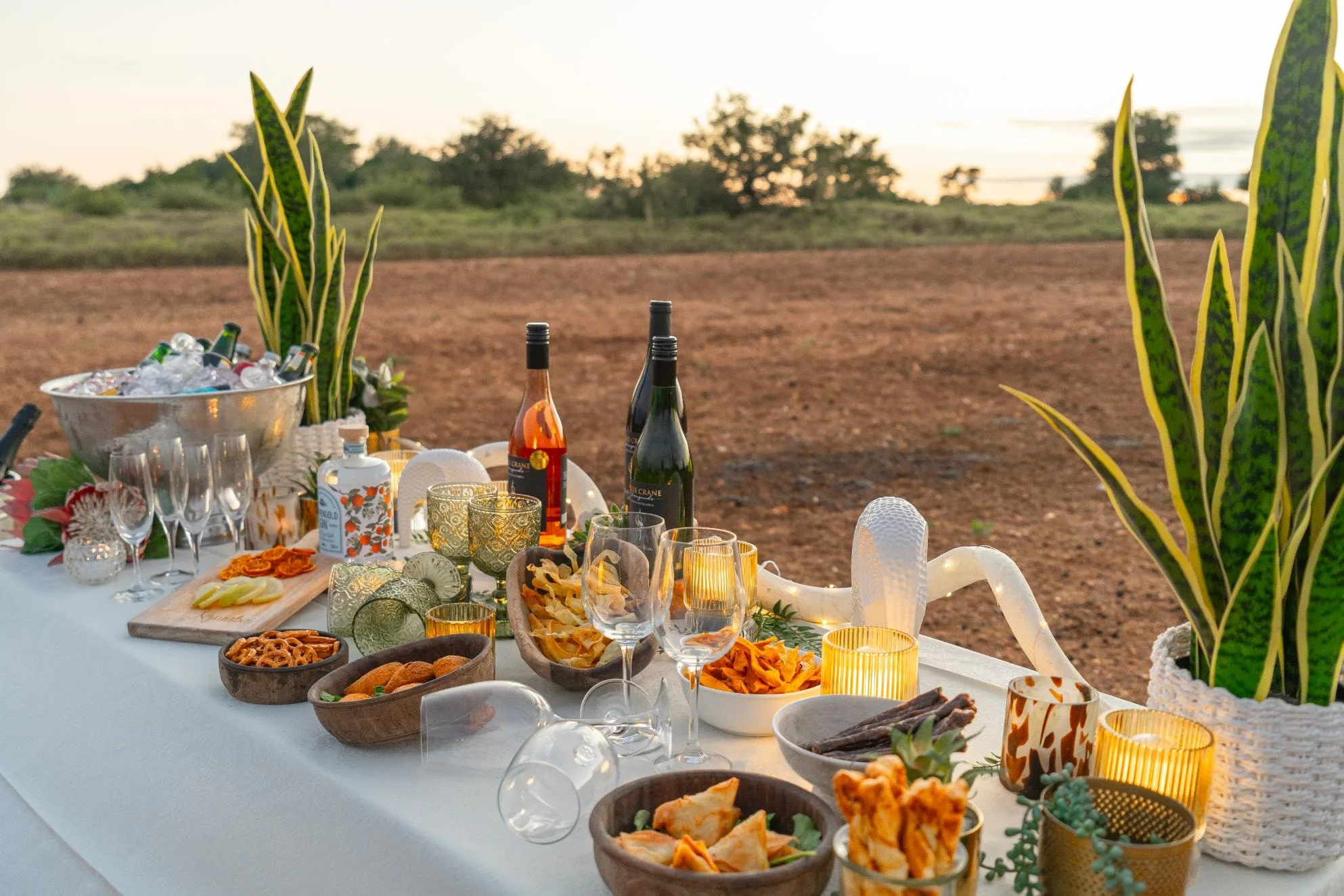 A Nzumba drinks-stop spread laid out on a Klaserie game drive