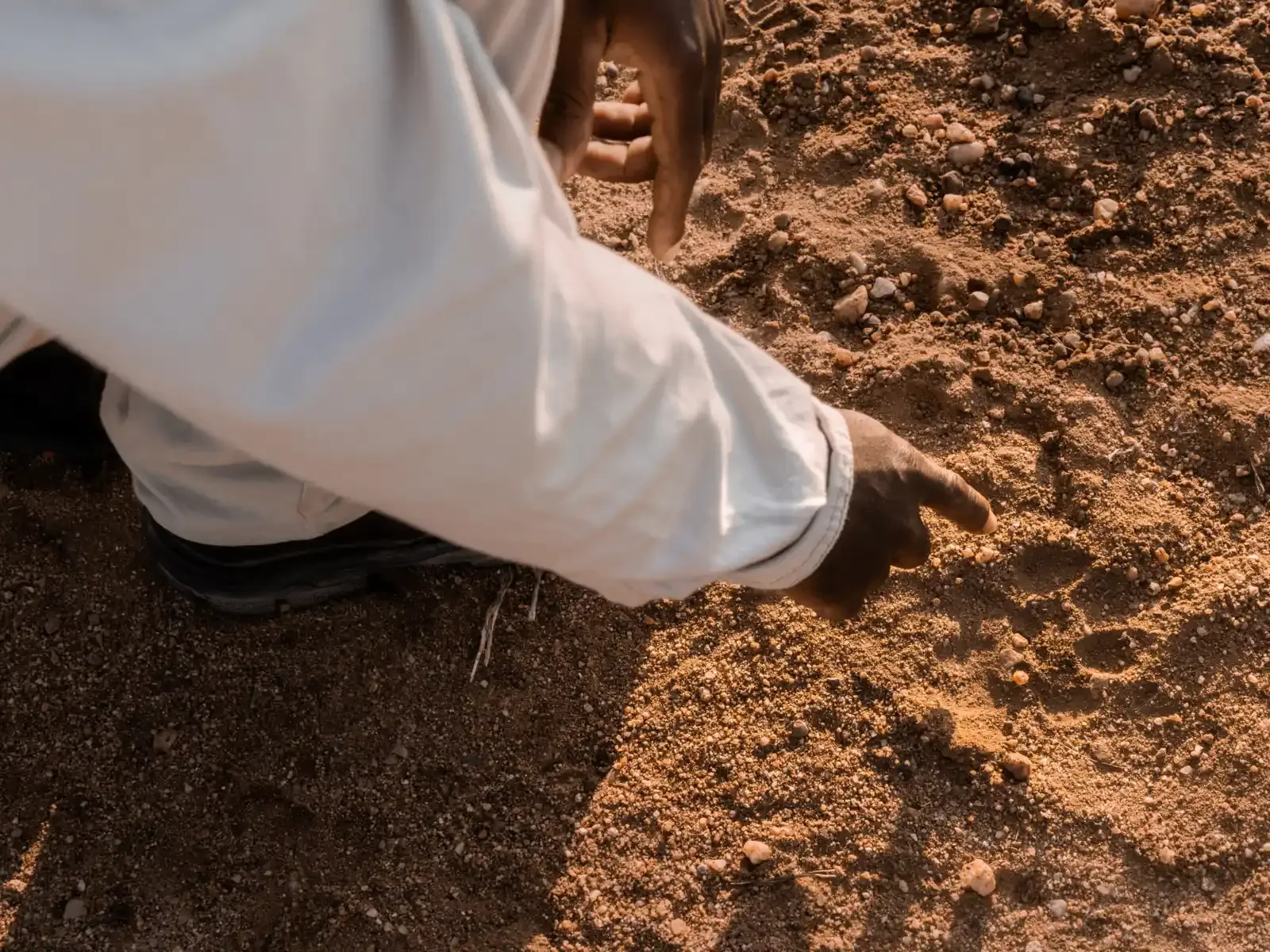 Nzumba guide tracking with a guest on a game drive
