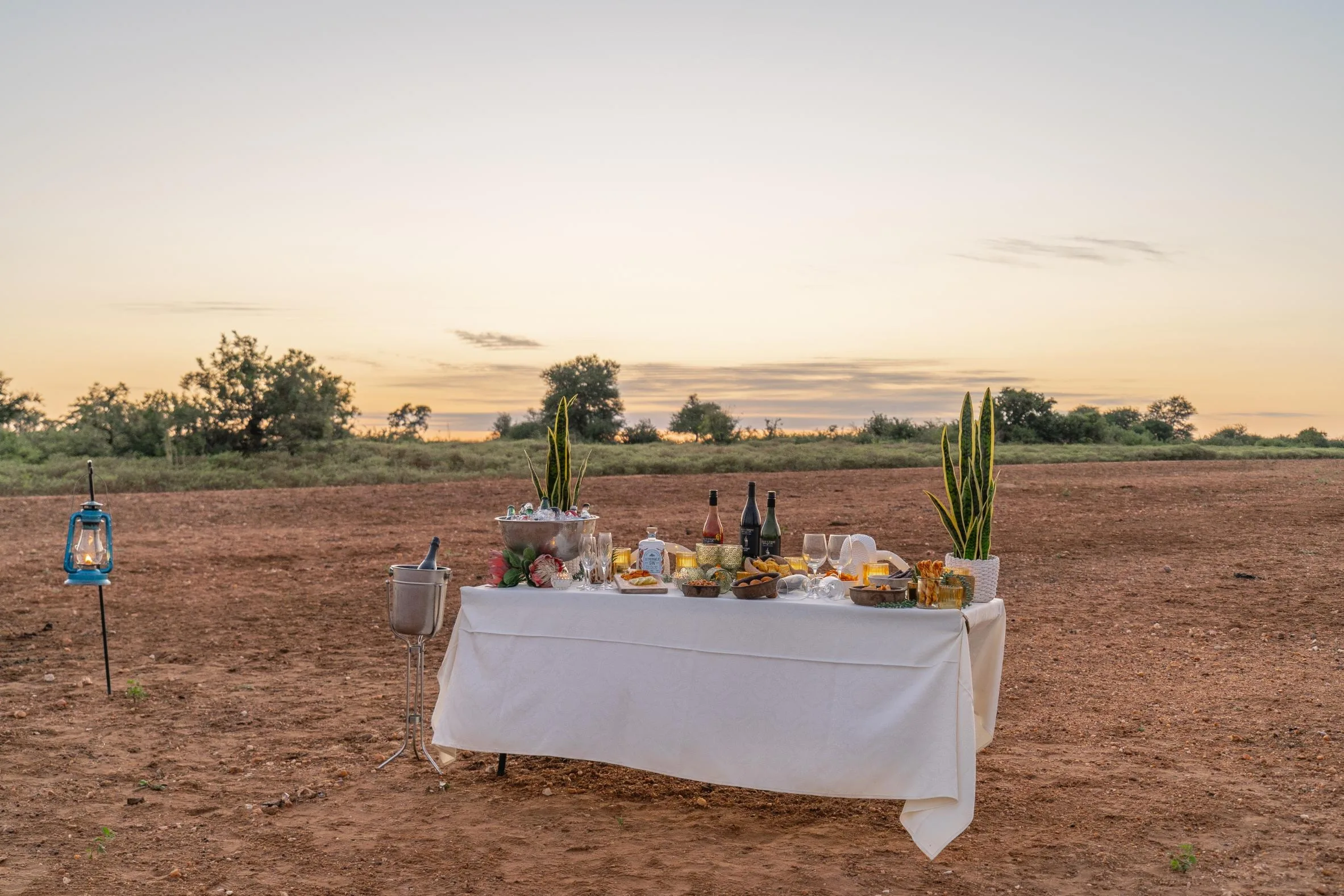 Nzumba guide pointing out wildlife from the game-drive vehicle
