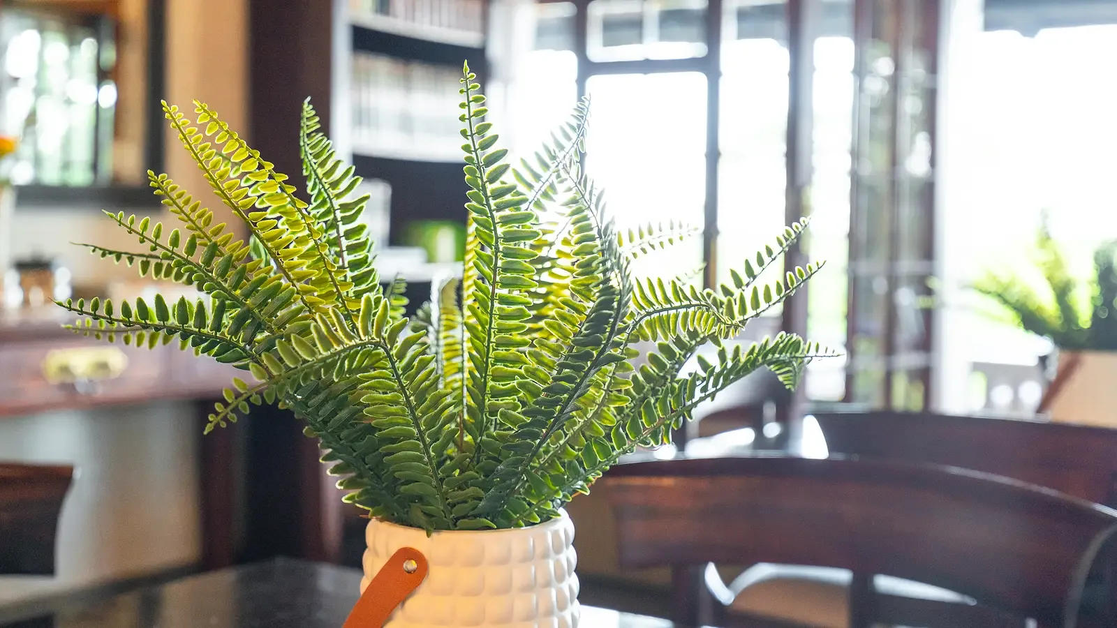 A reading nook in the Nzumba Lodge main area, looking onto the bushveld