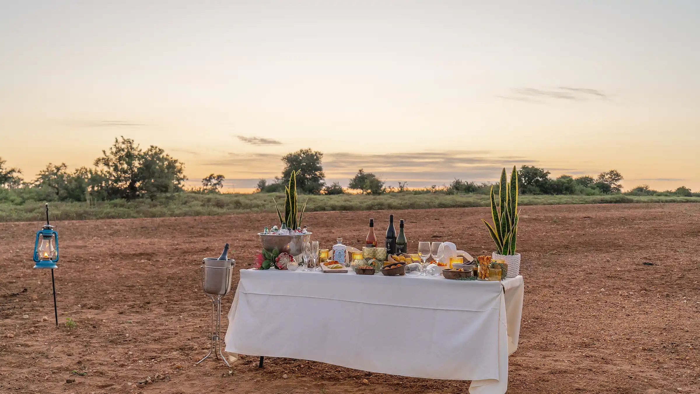 A sundowner drinks table set up beside the Nzumba safari vehicle on a Klaserie game drive