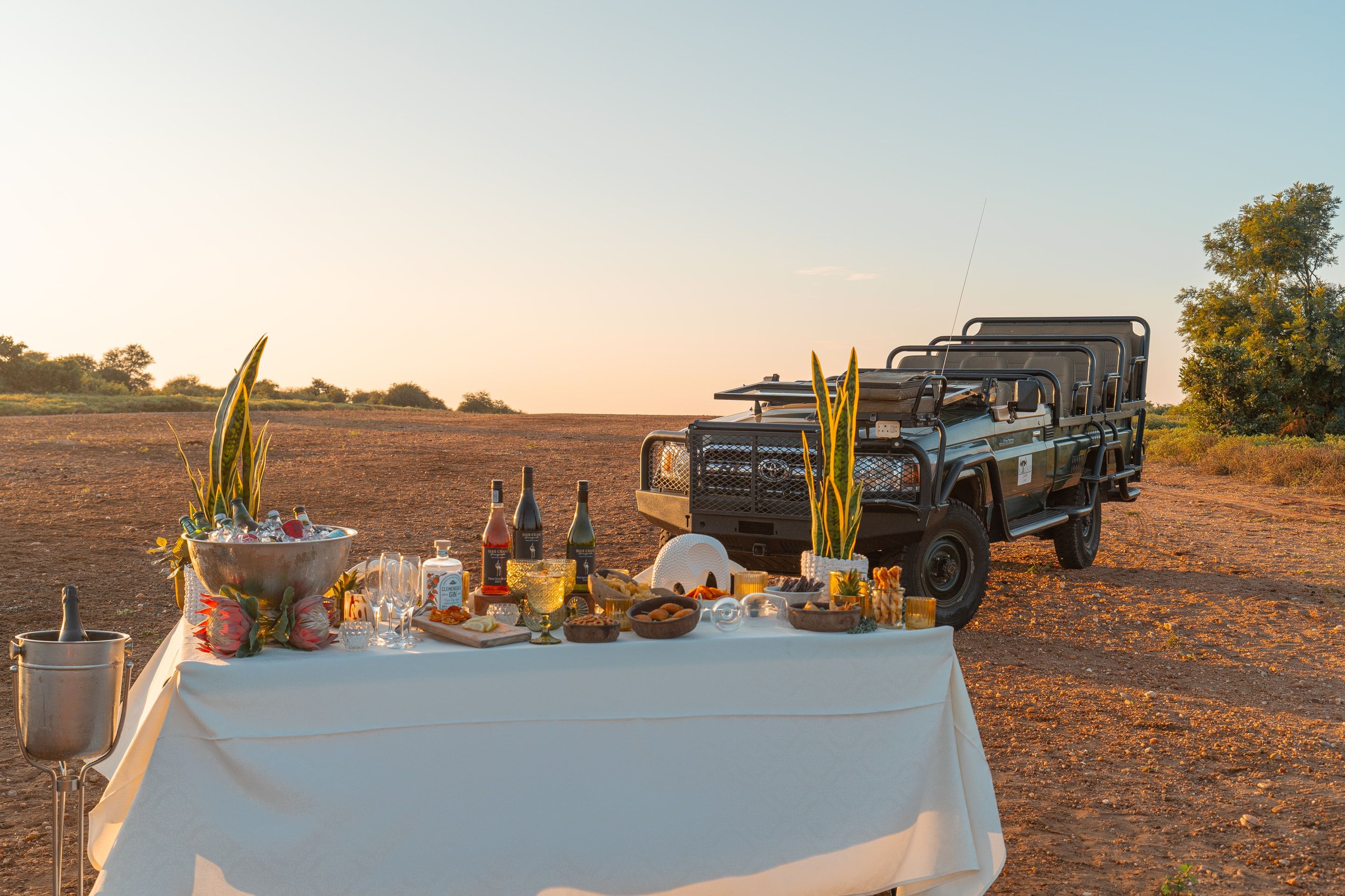 A sundowner drinks table set up beside the Nzumba safari vehicle on a Klaserie game drive