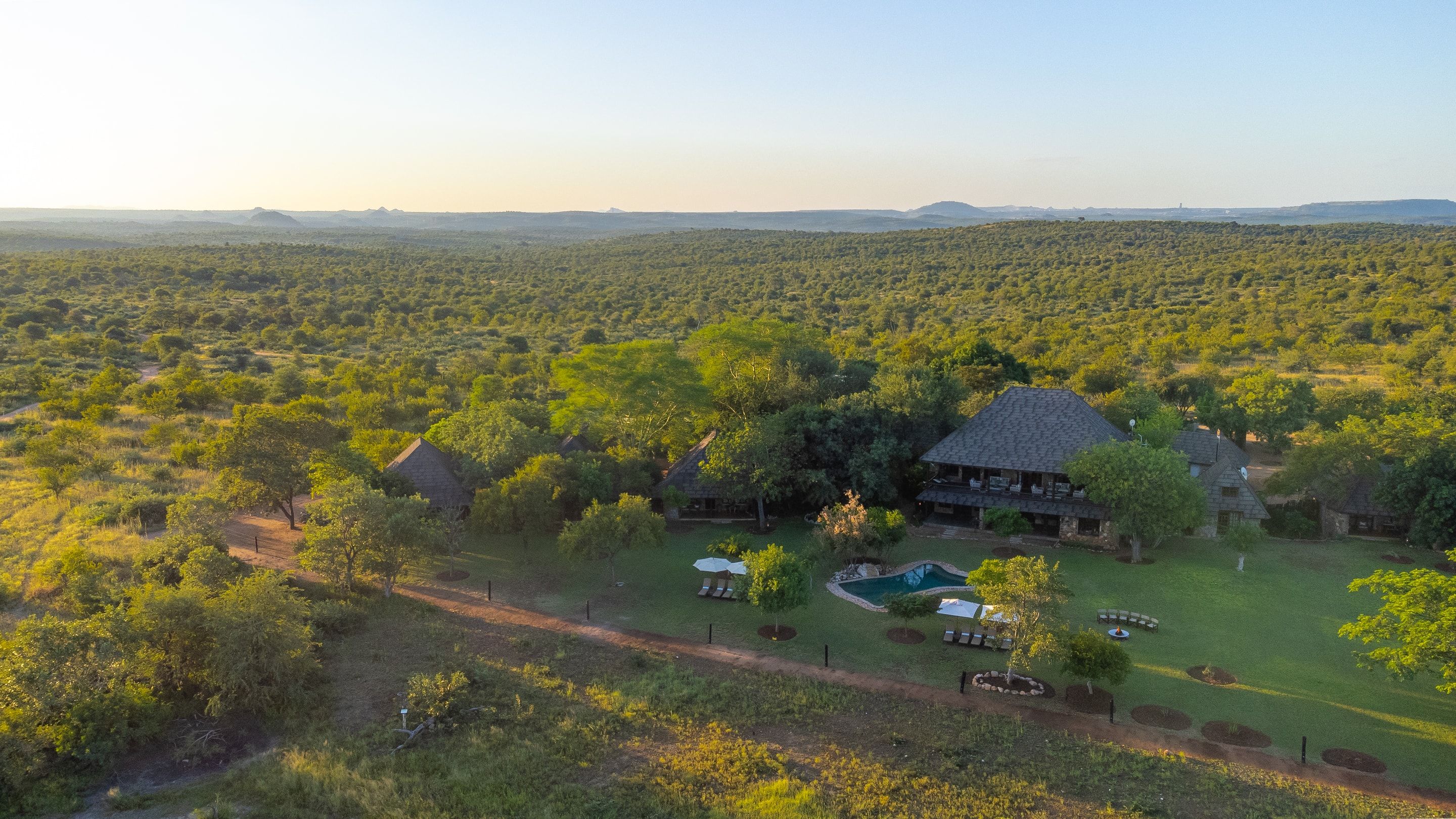 A lion at rest in the Klaserie bushveld — Nzumba Lodge wildlife frame
